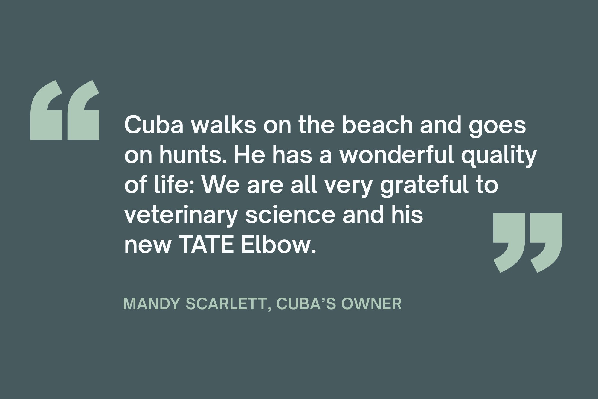 Cuba-Quote