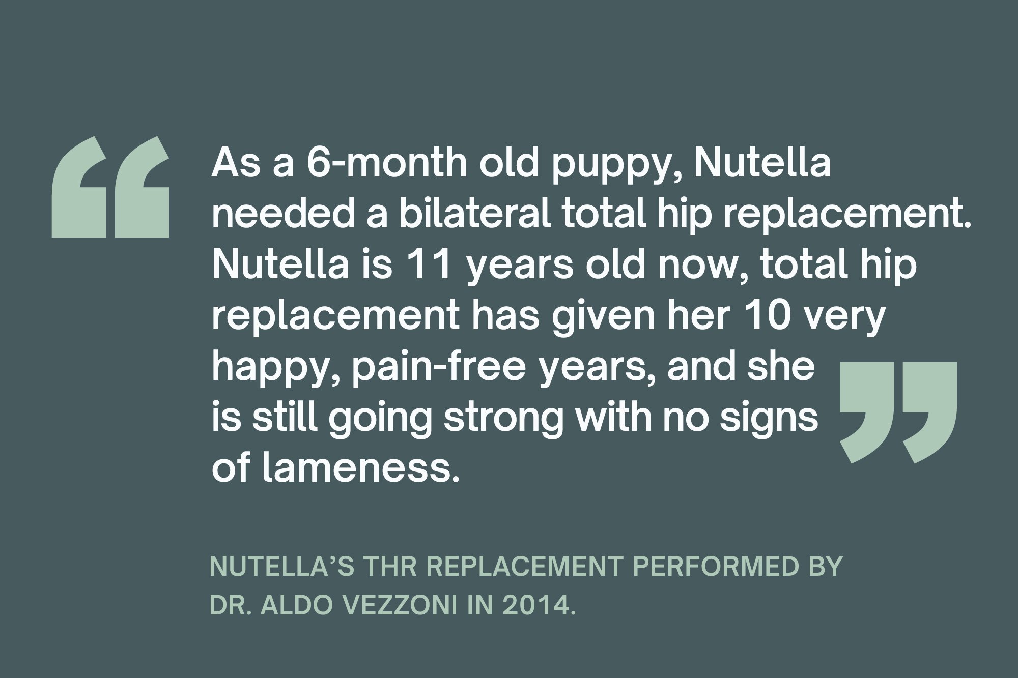 Nutella-Quote